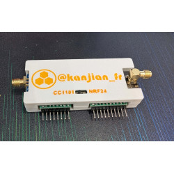 Antenne CC1101 et NRF24 en un seul module pour le Flipper Zero